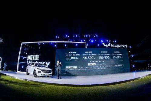 11国产精品视频,展现中国影视魅力与创意巅峰